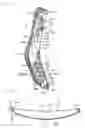 Fig. 06 - Backrest of the chair and adaptation device for the same