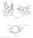 Fig. 04 - LOOP CHAIR
