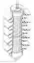 Fig. 01 - Surge arrester