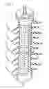 Fig. 02 - Surge arrester