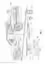 Fig. 02 - Automotive brake lighting