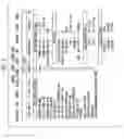 Fig. 11 - Alarm and alarm management system for remote tracking devices