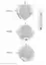 Fig. 09 - Electronic device