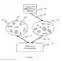 Fig. 02 - Multiple antenna system for wireless communication