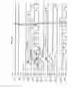Fig. 09 - Scanner, electro-optical panel, electro-optical display device and electronic apparatus