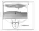 Fig. 26 - Computer-aided system for 360º heads up display of safety/mission critical data
