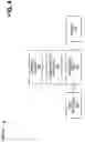 Fig. 06 - VOICE-CONTROLLED IMAGE EDITING