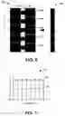Fig. 05 - Optical fiber amplifier and methods of making the same