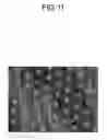 Fig. 12 - Optical film and method for manufacturing the same, antiglare polarizer, and display apparatus