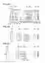 Fig. 05 - Zoom lens system and image pickup apparatus using the same