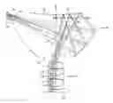 Fig. 01 - Optical system