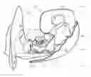 Fig. 01 - Foldable rear view mirror assembly for a vehicle