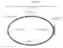 Fig. 01 - HeadLyte safety device