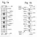 Fig. 02 - Non-volatile memory with reduced leakage current for unselected blocks and method for operating same