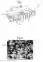 Fig. 02 -  SONAR BAFFLES AND BACKINGS