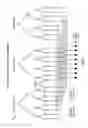 Fig. 10 - Channel structures for a quasi-orthogonal multiple-access communication system