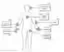 Fig. 01 - METHOD AND DEVICE FOR COMMUNICATING USING HUMAN BODY