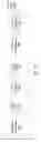 Fig. 22 - Downlink communication