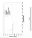 Fig. 04 - Apparatus and method for tracking symbol timing of OFDM modulation in a multi-path channel