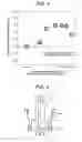 Fig. 04 - X-ray tube