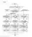 Fig. 05 - Image arrangement for electronic album