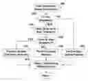Fig. 01 - Accelerated data structure optimization based upon view orientation