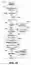 Fig. 13 - Accelerated data structure optimization based upon view orientation