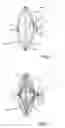 Fig. 02 - High efficiency optical coupler