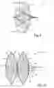 Fig. 06 - High efficiency optical coupler