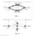 Fig. 03 - PON ring system, and method for realizing primary and backup link protection in PON