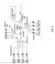 Fig. 06 - LOGICAL PARTITIONING OF A PASSIVE OPTICAL NETWORK