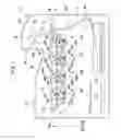 Fig. 02 - DEVELOPING DEVICE AND IMAGE FORMING APPARATUS