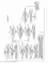 Fig. 06 - Information processing apparatus and information processing method