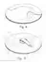 Fig. 06 - Disposable fluid applicator