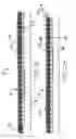 Fig. 27 - Methods and apparatuses for loading and unloading by pallet truck