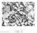 Fig. 03 - Method for making carbon composite material