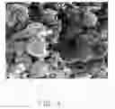Fig. 05 - Method for making carbon composite material
