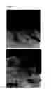 Fig. 02 - Processes for growing carbon nanotubes using disordered carbon target