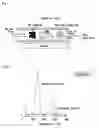 Fig. 02 - Hydride composite and preparation process of hydrogen gas