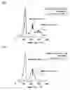 Fig. 05 - Hydride composite and preparation process of hydrogen gas