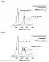 Fig. 06 - Hydride composite and preparation process of hydrogen gas