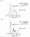 Fig. 07 - Hydride composite and preparation process of hydrogen gas