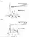 Fig. 08 - Hydride composite and preparation process of hydrogen gas