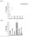 Fig. 10 - Hydride composite and preparation process of hydrogen gas