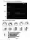 Fig. 06 - IMAGING NUCLEIC ACID BINDING PROTEINS