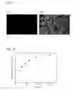 Fig. 06 - Methods for detection and determination of vitamin C by luminescence