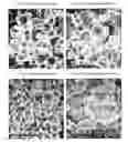 Fig. 01 - Surface modified aerosol particles, a method and apparatus for production thereof and powders and dispersions containing said particles