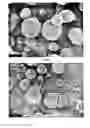 Fig. 06 - Surface modified aerosol particles, a method and apparatus for production thereof and powders and dispersions containing said particles