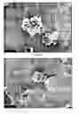 Fig. 09 - Surface modified aerosol particles, a method and apparatus for production thereof and powders and dispersions containing said particles