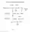 Fig. 03 - Method of inhibiting complement activation with factor Bb specific antibodies